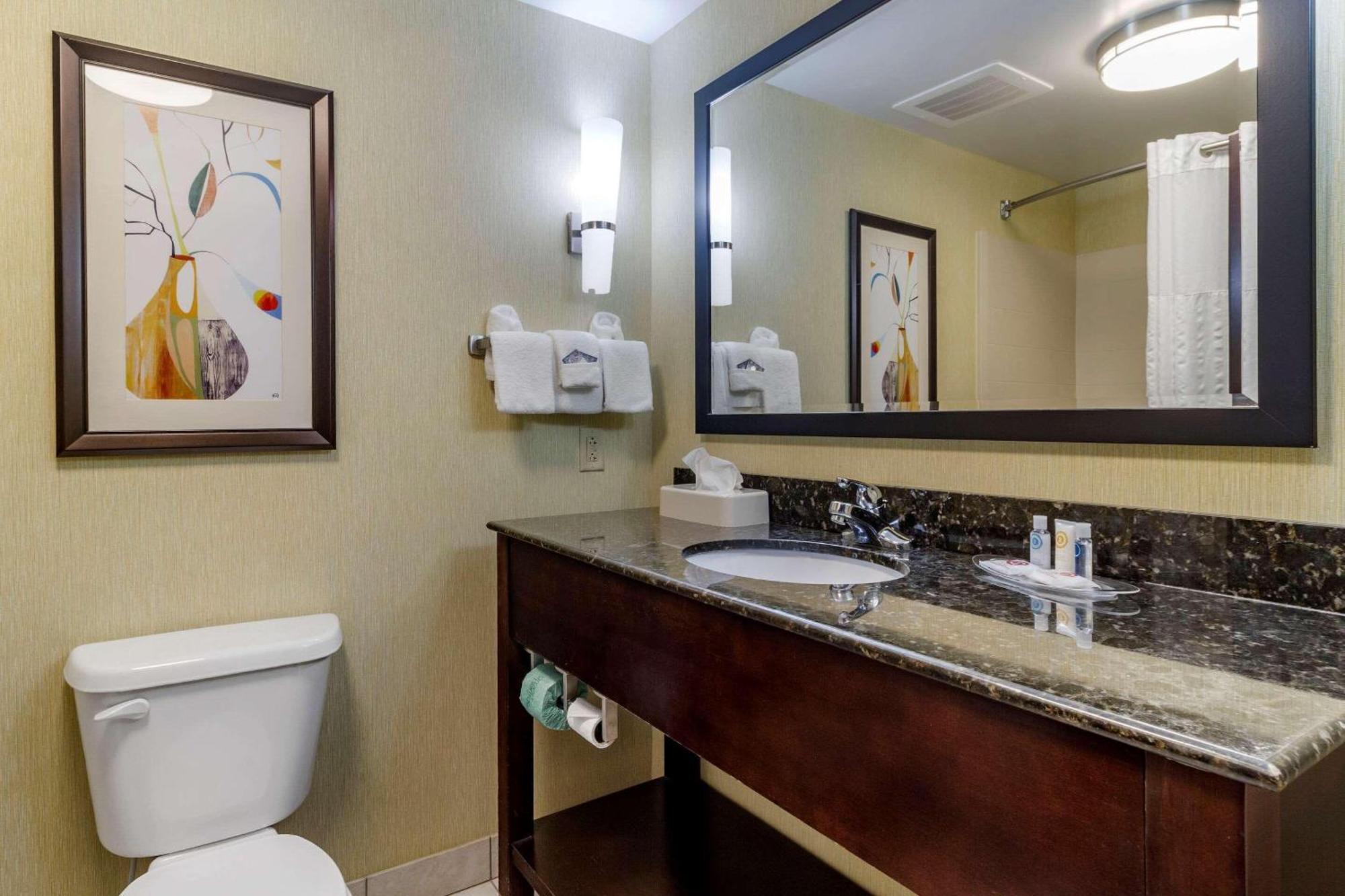 Comfort Suites Knoxville West - Farragut Esterno foto